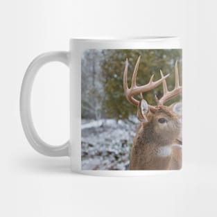 White-tailed buck Mug